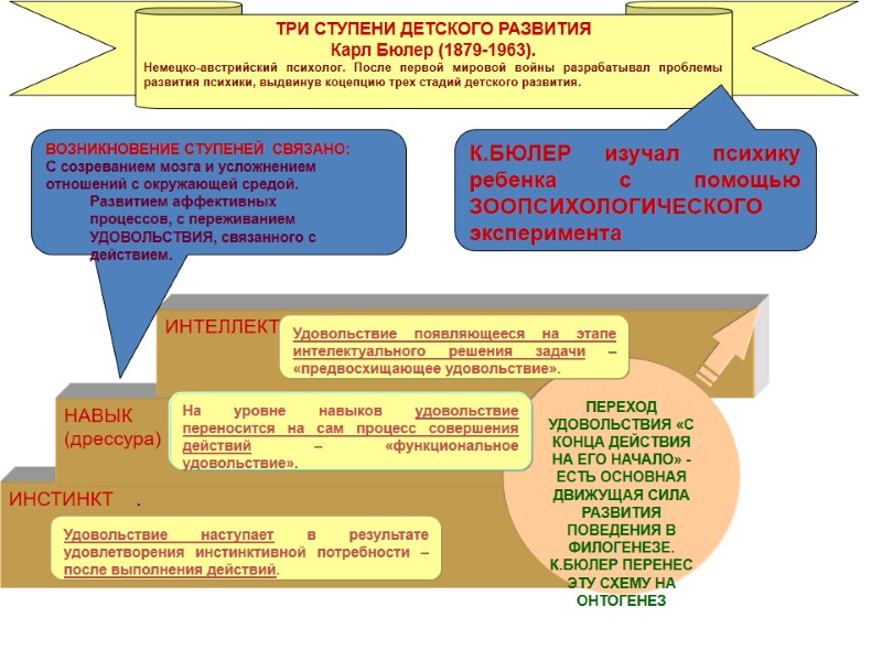 ТРИ СТУПЕНИ ДЕТСКОГО РАЗВИТИЯ Карл Бюлер (1879-1963). Немецко-австрийский психолог. После первой мировой войны разрабатывал